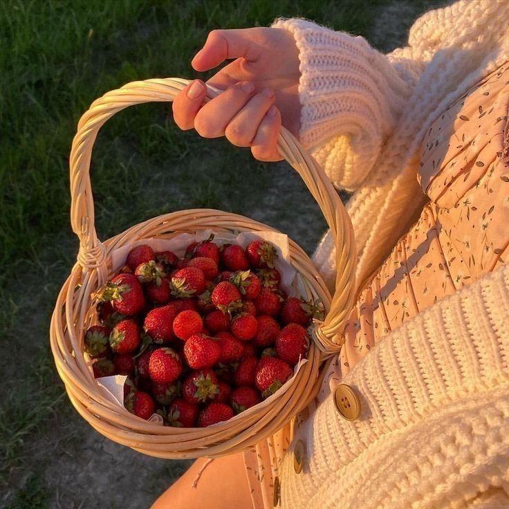 Fields of Abundance: Earth's Sweetness Fruit Basket